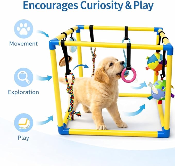 Puppy Play Gym with Five Hanging Toys and Lightweight PVC Frame | Five detachable hanging toys engage your puppy to keep them entertained and active indoors.