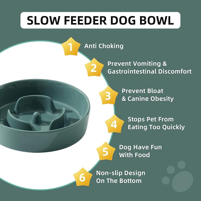 Havniva Slow Feeder Dog Bowls, Ceramic Dog Bowl Slow Feeder for Fast Eater | 0.9 Cups Puzzle Dog Food Bowl, Slow Feeding Bowls for Small Breed, Non-Slip Rubber Base, Anti-Choking