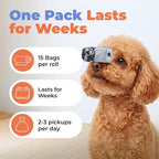 Best Pet Supplies Poop Bags for Dogs - White, 240 Count | Scented, Leak-proof, Easy-Tear perforations, 15 Thick Bags per roll, Outdoor Walking & Travel, Fits Standard Holders