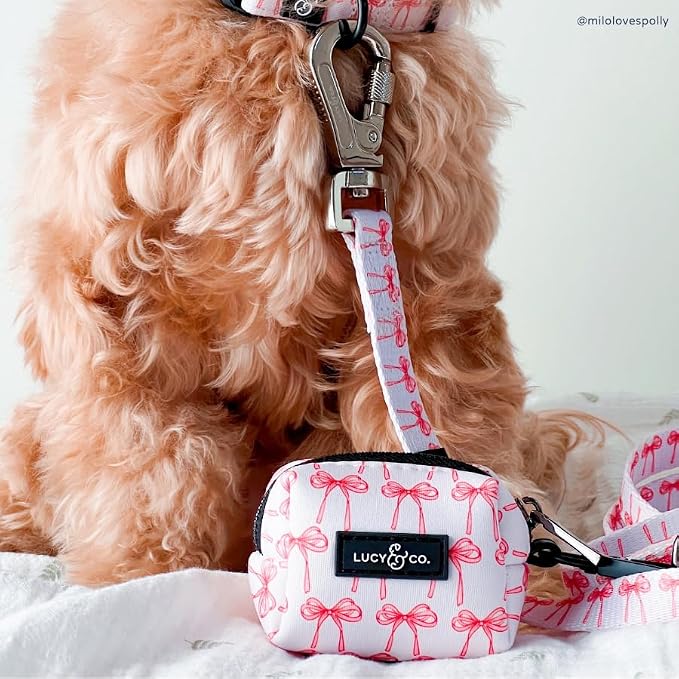 Lucy & Co. Designer Dog Leash - Pet Accessories - Thick Dog Leash - Padded Handle for Comfort - Ballet Bows - 5 Foot (White & Pink Bows, Small)