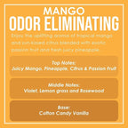Mango Two Pack Odor Eliminating Highly Fragranced Candle - Eliminates 95% of Pet, Smoke, Food, and Other Smells Quickly - Up to 80 Hour Burn time - 12 Ounce Premium Soy Blend
