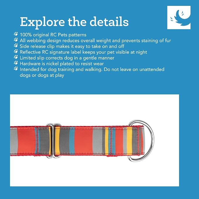 RC Pets All Webbing Training Collar L Gemstone