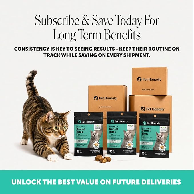 Fresh Breath Dental Bites for Cats – Crunchy & Creamy Cat Dental Treats for Fresh Breath, Tartar & Plaque Control – Dual-Texture Cat Oral Care Bites for Bright Teeth & Healthy Gums – 90 Day Supply