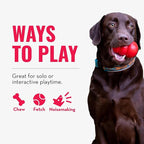 KONG Wubba - Dog Toy for Tug of War & Fetch - Dog Supplies for Puppy & Dog Playtime - Outdoor & Indoor Dog Toy - for XL Dogs - Randomly Provided Color