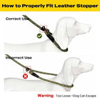 Fida Slip Leads for Dogs, 6 FT x 1/2" Dog Leash Heavy Duty Comfortable Strong Rope Lead for Large, Medium Dogs, No Pull Pet Training Leash with Highly Reflective,Yellow