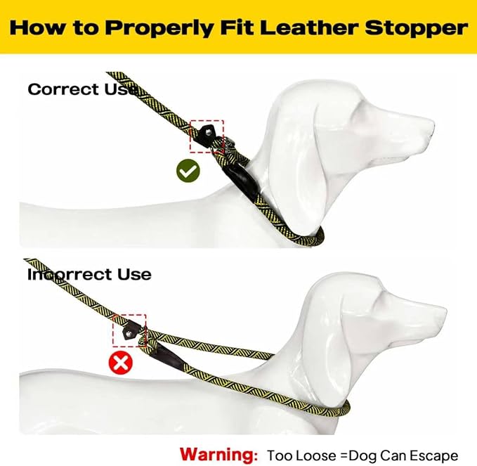 Fida Durable Slip Lead Dog Leash, 6 FT x 3/8" Heavy Duty Comfortable Strong Rope Slip Lead for Small Dogs and Puppies, No Pull Pet Training Leash with Highly Reflective (3/8", Yellow)