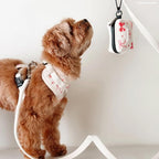 Lucy & Co. Ivory Corduroy Dog Leash, Durable Dog Lead with Heavy Duty Hardware, Large