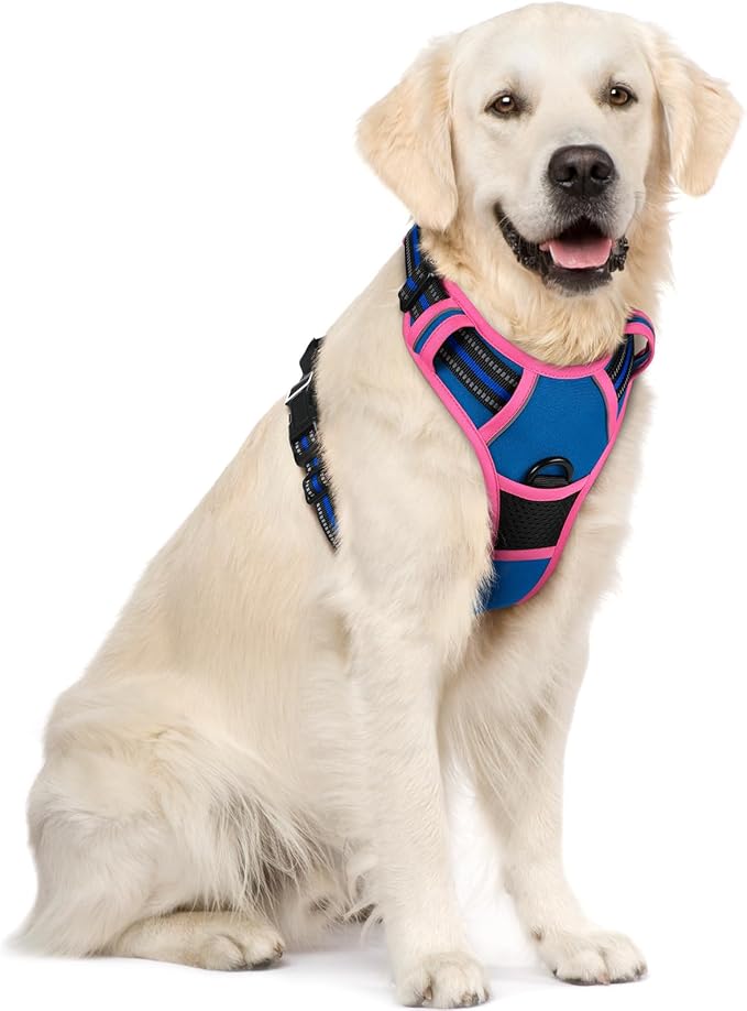 rabbitgoo Dog Harness, No Pull for Large Dogs with 2 Leash Clips, Pet Vest | No Choke with Handle, Adjustable Soft Padded, Reflective, Easy Control for Walking, Blue & Hot Pink, X-Large