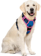 rabbitgoo Dog Harness, No Pull for Large Dogs with 2 Leash Clips, Pet Vest | No Choke with Handle, Adjustable Soft Padded, Reflective, Easy Control for Walking, Blue & Hot Pink, X-Large