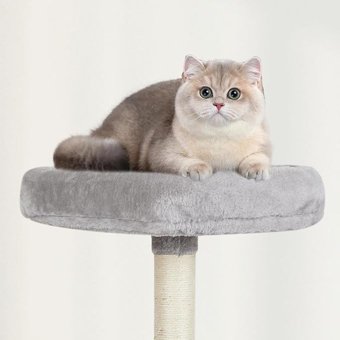 Cut Cat Tree Cat Tower Condo with Hammock Kittens Scratching Post Grey | MIAO PAW Cat Bed For Indoor Modern Activity Tree for Small Cat with Board Hanging Ball Play House