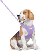 rabbitgoo Dog Harness Medium Sized and Leash Set, Step-in Puppy Pet Vest | Light, Soft, Breathable Air Mesh, Easy on and Remove with Hook & Loop, Secure Reflective for Walking, Light Purple L