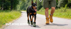 Dog Shoes for Hot Pavement - Comfortable Paw Protection for Medium & Large Dogs, Adjustable Strap & Non-Slip, Easy-Clean, Outdoor Sports Boots, Dog Booties for Summer Rain (Green, XL)