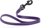 Dogline Biothane Waterproof Dog Leash Strong Coated Nylon Webbing with Black Hardware Odor-Proof Easy to Clean High Performance for Small or Large Dogs Made in USA 2 ft Lead, Violet Purple