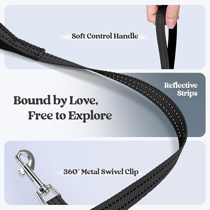 rabbitgoo Dog Harness Small Sized and Leash Set, Step-in Puppy Pet Vest | Light, Soft, Breathable Air Mesh, Easy on and Remove with Hook & Loop, Secure Reflective for Walking, Black XS