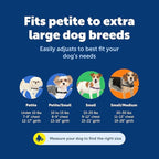 PetSafe Easy Walk No-Pull Dog Harness - Ultimate Harness to Help Stop Pulling - Pull-Free Walks - Take Control & Teach Better Leash Manners - Patented Martingale Loop Design - Fawn, Medium