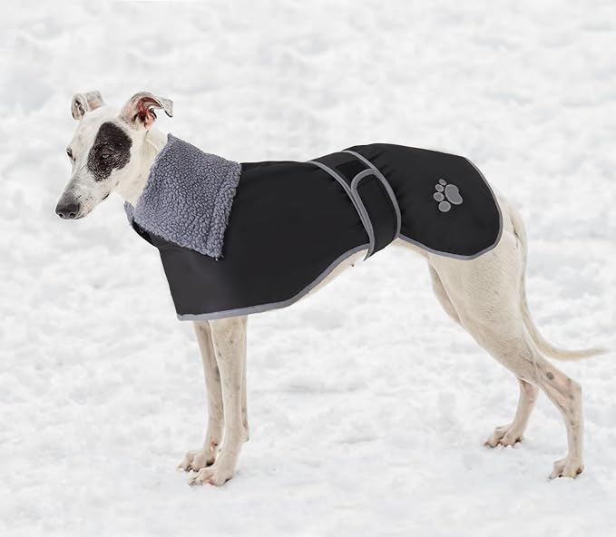 Geyecete Dog Winter Coat Geyecete Greyhound Raincoat Fabric with Lamb Velvet Inside Outdoor Dog Apparel with Adjustable Bands for Medium, Large Dog-Black-M