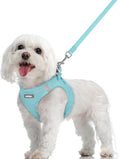 rabbitgoo Dog Harness Small Sized and Leash Set, Step-in Puppy Pet Vest | Light, Soft, Breathable Air Mesh, Easy on and Remove with Hook & Loop, Secure Reflective for Walking, Mint Blue M