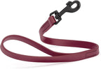Dogline Biothane Waterproof Dog Leash Strong Coated Nylon Webbing with Black Hardware Odor-Proof Easy to Clean High Performance for Small or Large Dogs Made in USA 2 ft Lead, Merlot Burgundy