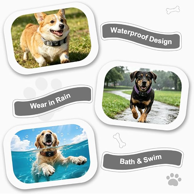 Natural Flea and Tick Pendant for Dogs with 2 Silicone Buckles 4 Refills, Water Resistant Dog Flea and Tick Collar Repellent Accessory for Indoor Outdoor Flea and Tick Prevention, COLLAR NOT INCLUDED