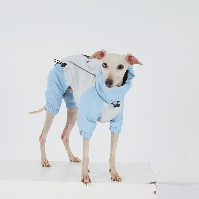 Dachshund Dog Raincoat with Legs, Waterproof Full Body Jacket, Hooded Outdoor Windbreaker for Small & Medium Dogs, Mini Dachshund Puppy Coat (Blue,XS(6-9lbs))