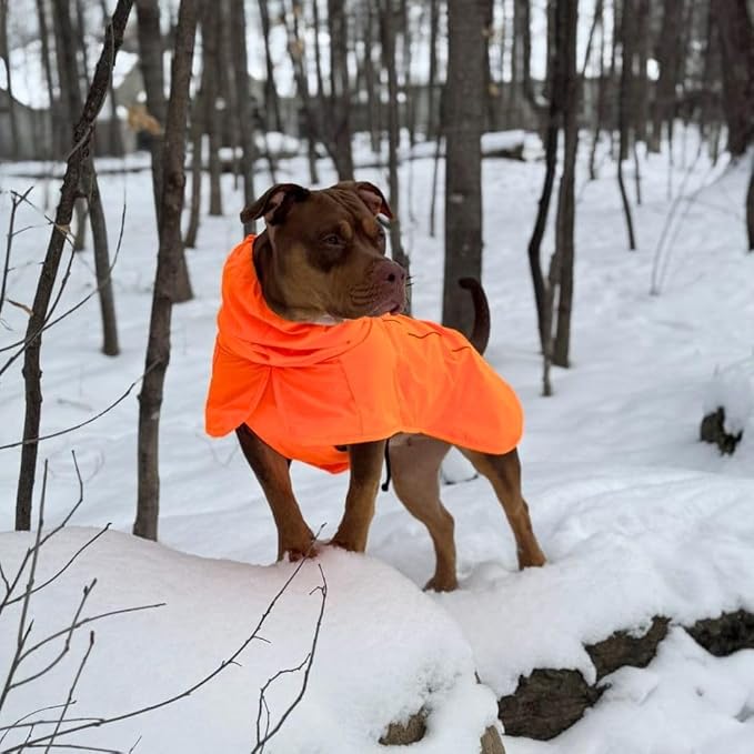 Spark Paws Dog Raincoat, Waterproof Windproof Rain Jacket, for Small Medium Large Extra Large Dogs, Reflective Breathable Full-Body Coverage Dry Suit - Orange - 4XL