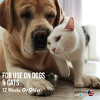 Sugar Cookie Pet Shampoo 16 oz. for Dogs & Cats | Long-Lasting Odor Eliminator | Biodegradable and Non-Toxic | Made in USA