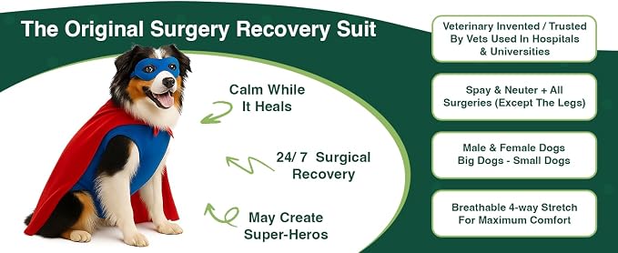 SurgiSnuggly Veterinary Invented Dog Surgical Recovery Suit for Female or Male Dogs,Spay, Neuter Onesie, The Original Surgical Recovery Bodysuit for After Surgery Small, Medium, Large Dogs 2XL BR