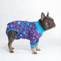 Spark Paws Dog Surgery Recovery Suit – Dog Recovery Suit After Surgery, Anti-Lick Dog Onesie, Abdominal Wound Protector, Soft Cone Alternative for Spay Neuter Male Female Pet Recovery - Planets - L