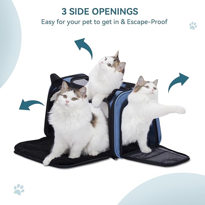 PETSFIT Pet Carrier, Blue, Small and Medium Cats, Puppies Up to 12 Lbs | Dog Carrier, Airline Approved, Collapsible Soft Sided, TSA Approved, Cat Travel Carrier