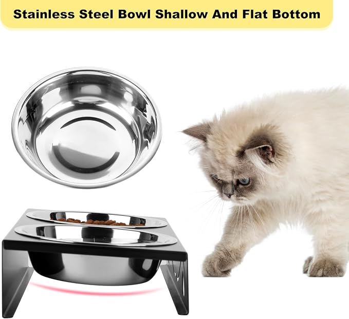 All-Metal Cat Food Bowl Raised, 5.5" WideTilted Whisker-Fatigue Pet Dish, Anti-Vomiting, 2 Stainless Steel Bowls for Food Water, Non-Slip Elevated Cat Feeding Stand for Indoor Multi Cats,Puppy, Black