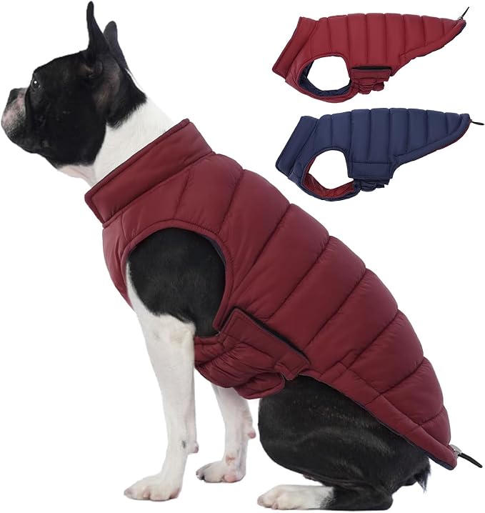 Lelepet Reversible Dog Coat Windproof Dog Jacket Lightweight Puffer Vest | Windproof Wintet Jacket Warm Coats for Medium Dogs Adjustbale Hook & Loop Pet Apparel with Leash Hole, Pug, Wine Red, M