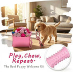 20 Pack Puppy Teething Chew Toys for Small Dogs, Bulk Dog Toys for Puppies | Pink Rubber Rings, Ropes & Balls, Puppy Teething & Dental Care, Relieves Puppy Boredom, Stops Destructive Chewing