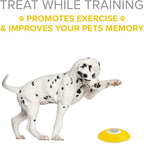 Arf Pets Dog Treat Dispenser with Remote Button – Dog Memory Training Activity Toy – Treat While Train, Promotes Exercise by Rewards, Improves Memory & Positive Training for A Healthier & Happier Pet