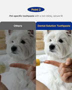 PETHROOM Pet Dental Solution Toothpaste for Dog & Cat, Sweet Potato Flavor | Enzymatic Toothpaste for Fresh Breath & Plaque Control, Gentle Daily Dental Care, Net Wt 2.1 oz