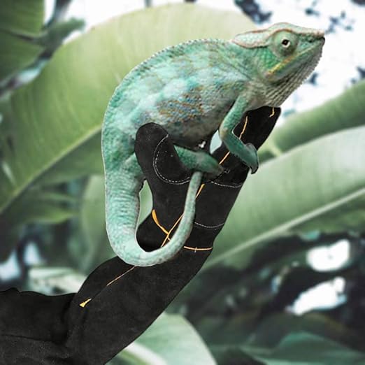 AOWPFVV Animal Handling Gloves Bite Proof for Dogs,Cats, 23.6in Large | Falconry,Birds,Snake,Reptile,Vets, Groomers & Animal Control