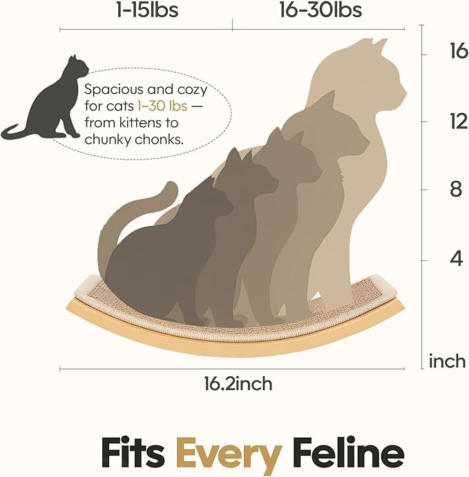 Cat Wall Shelves, Cat Window Perches with Curved Bed & 2 Sisal Mat Steps | Cat Window Perches with Beige Curved Bed & 2 Floating Steps for All Breeds, 3-in-1 Cat Wall Set for Climbing & Lounging