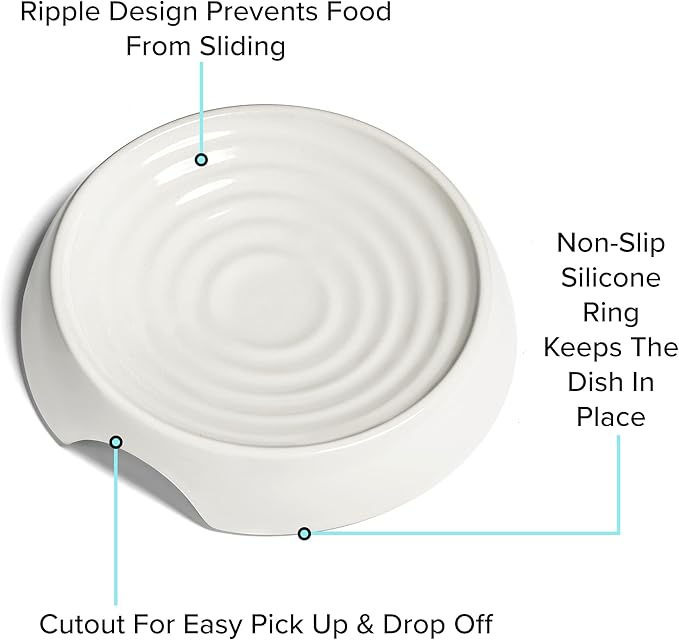 CatGuru Cat Bowls, Original Whisker-Friendly Pet Bowl for Wet & Dry Food | Wide, shallow food dish lets cats reach every bite comfortably reducing food waste. Nonslip. Dishwasher safe/ Ceramic