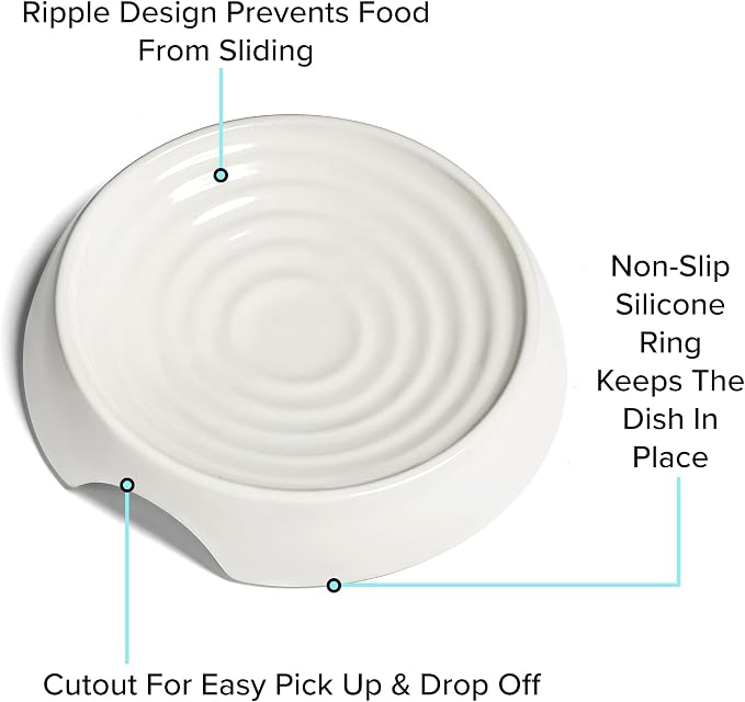 CatGuru Cat Bowls, Whisker Friendly Food Bowl for Indoor Cats, Reliefs Whisker Fatigue, Wide Kitten Dish, Non Slip Pet Dishes, Shallow Pet Plates (Ceramic (Pack of 2))