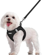 rabbitgoo Dog Harness Small Sized and Leash Set, Step-in Puppy Pet Vest | Light, Soft, Breathable Air Mesh, Easy on and Remove with Hook & Loop, Secure Reflective for Walking, Black M