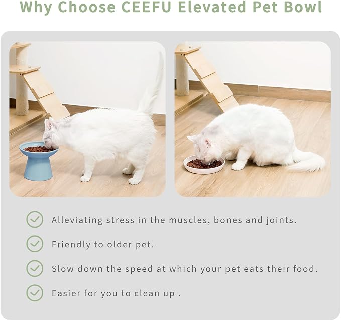 CEEFU 2-Pack Extra Wide Elevated Ceramic 6.2" Shallow Cat Food Bowls | Cat Dish for Whisker Fatigue Relief, 5" Height for Easy Feeding, Durable Raised, Blue
