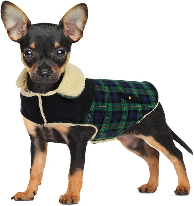 Winter Coat for Small and Medium Dogs, Puppy Plaid Jacket, Cotton Coat for Cold Weather, Windproof Warm Dog Garments, Pet Thickened Outfits Indoor Outdoor, Green S