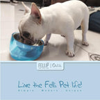 Felli Pet Oblik Acrylic Raised Dog Food Water Bowl Stainless Steel Slanted Oval Dish for Short Leg Puppy & Small Medium Pet, Elevated Tilted Metal Feeder (Sapphire, 1.5 Cups Oval Dish)