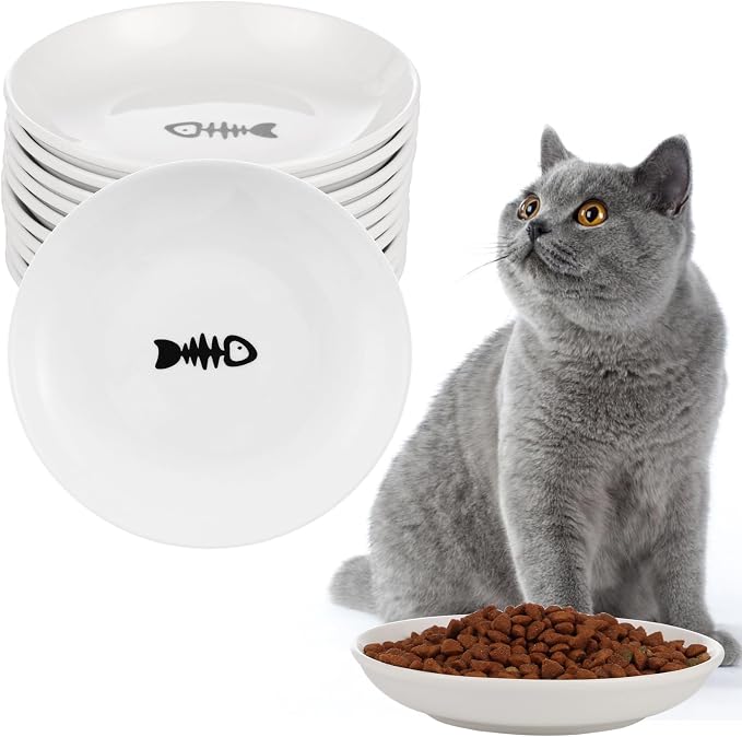 10 Ceramic Cat Feeding Bowls, 6 Inch Wide Shallow Plates for Dry/Wet Food | Reduces whisker contact; lead-free; holds water too; dishwasher safe; stable heavy design; for cats & small dogs