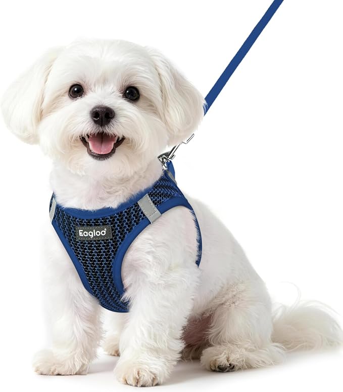 Eagloo Small Dog Harness and Leash Set, Step in Small Sized Puppy Pet Vest | Light, Soft, Breathable Air Mesh, Easy on and off with Hook & Loop, Reflective for Safe Walking, Navy Blue, S