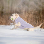 Lelepet Reversible Dog Coat Windproof Dog Puffer Jacket Lightweight Vest | Winter Jacket Warm Cold Weather Coat for Large Dogs Adjustbale Hook & Loop Pet Apparel with Leash Hole, Golden Retriever, 3XL