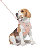 rabbitgoo Dog Harness Medium Sized and Leash Set, Step-in Puppy Pet Vest | Light, Soft, Breathable Air Mesh, Easy on and Remove with Hook & Loop, Secure Reflective for Walking, Pink L