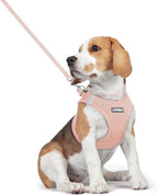 rabbitgoo Dog Harness Medium Sized and Leash Set, Step-in Puppy Pet Vest | Light, Soft, Breathable Air Mesh, Easy on and Remove with Hook & Loop, Secure Reflective for Walking, Pink L