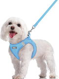 rabbitgoo Dog Harness Small Sized and Leash Set, Step-in Puppy Pet Vest | Light, Soft, Breathable Air Mesh, Easy on and Remove with Hook & Loop, Secure Reflective for Walking, Blue M