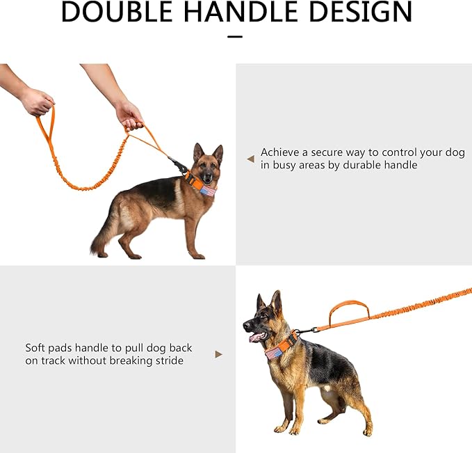 DAGANXI Tactical Dog Collar, Adjustable Military Training Nylon Dog Collar with Control Handle and Heavy Metal Buckle for Medium and Large Dogs, with Patches and Airtags Case (Orange-Set, M)