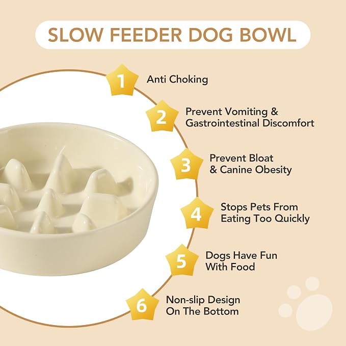 Havniva Slow Feeder Dog Bowls, Ceramic Dog Bowl Slow Feeder for Fast Eater | 1.2 Cups Puzzle Dog Food Bowl, Slow Feeding Bowls for Small & Medium Breed, Non-Slip Rubber Base, Anti-Choking